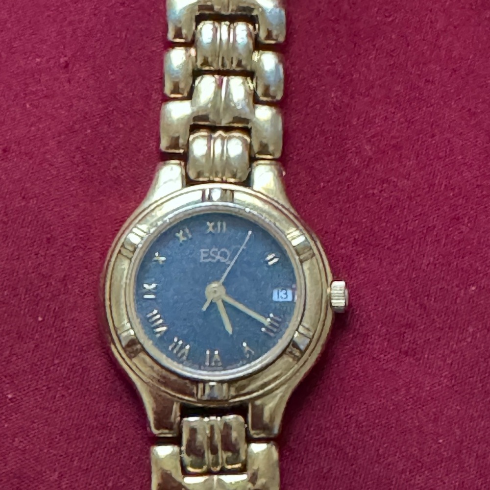 ESQ Swiss watch
